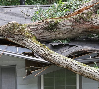 image-storm-damage image-storm-damage
